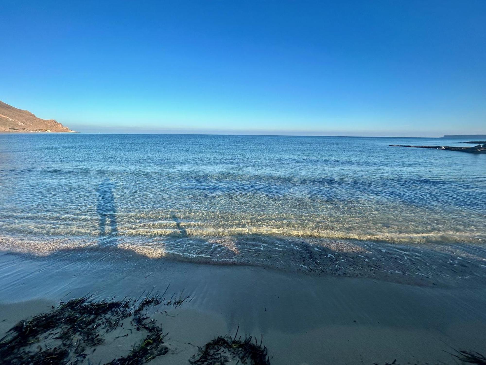 L'Oasi Una Pineta Sul Mare Custonaci Eksteriør bilde